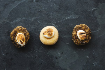 Toasted Marshmallow On Gourmet Donuts Toasted Marshmallow On Gourmet Donuts
