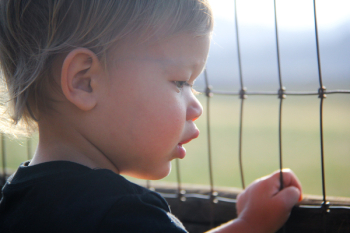 Toddler Holding Wire Toddler Holding Wire
