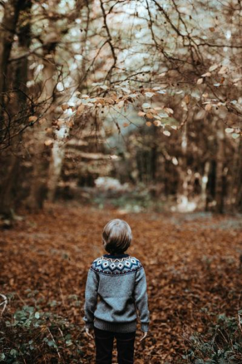 toddler underneath trees toddler underneath trees