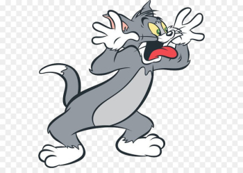 Tom Cat My Talking Tom Jerry Mouse Tom and Jerry - Tom and Jerry PNG 