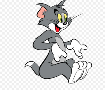 Tom Cat Tom and Jerry Jerry Mouse Cartoon Network - tom and jerry 