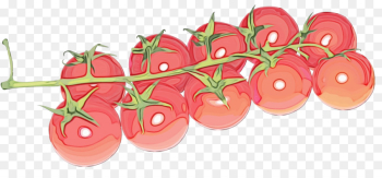 Tomato Tomato