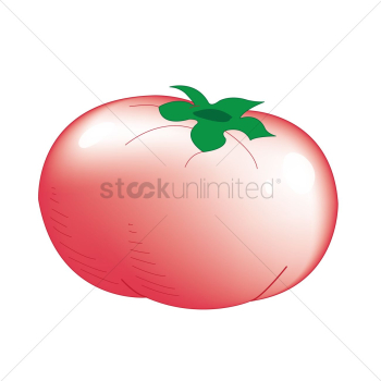 Tomato Tomato