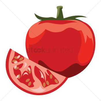 Tomato Tomato