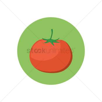 Tomato Tomato