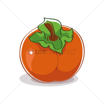 Tomato Tomato