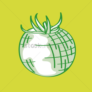 Tomato Tomato