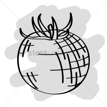 Tomato Tomato