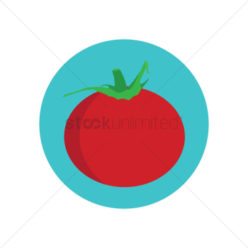 Tomato Tomato