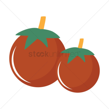 Tomato Tomato