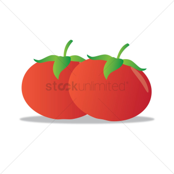 Tomato Tomato