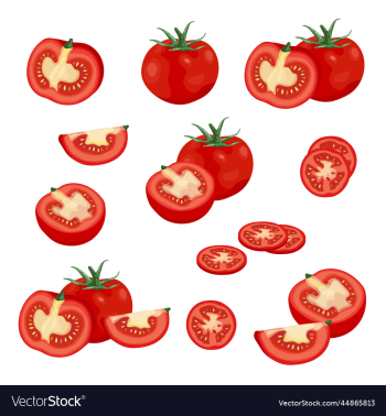 tomato element tomato element