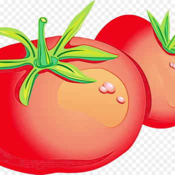 Tomato, Food, Diet Food, Fruit PNG Tomato, Food, Diet Food, Fruit PNG