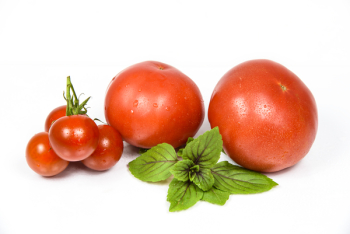 Tomato Fruit Tomato Fruit