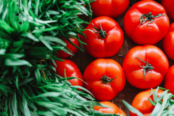 Tomatoes Tomatoes