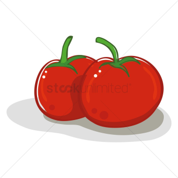 Tomatoes Tomatoes