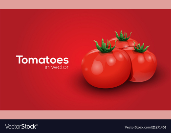 Tomatoes in format vector image Tomatoes in format vector image