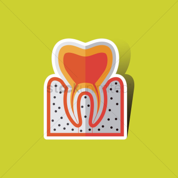 Tooth anatomy Tooth anatomy