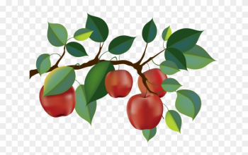 Top 88 Apple Tree Clip Art - Apple Tree Branch Clipart