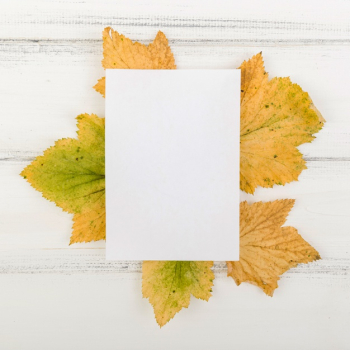 Top view blank paper on leaves with mock-up Free Photo