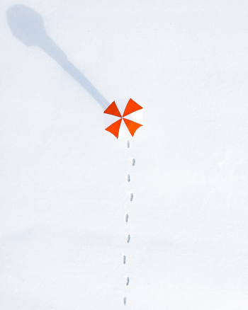 Top View Photo of Person Holding Umbrella Top View Photo of Person Holding Umbrella