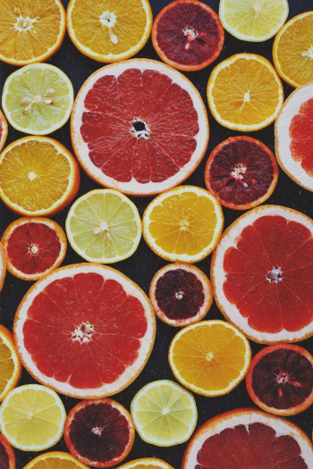 Top View Photo Of Sliced Citrus fruits Top View Photo Of Sliced Citrus fruits