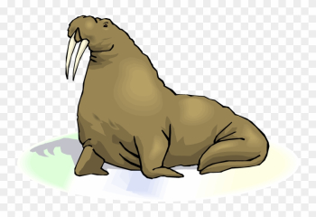 Top Walrus Clip Art Free Clipart Image - Walrus Transparent Background Top Walrus Clip Art Free Clipart Image - Walrus Transparent Background