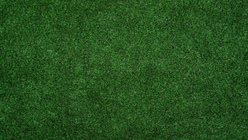 topview of grass lawn topview of grass lawn