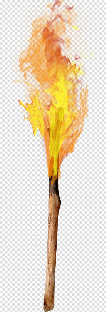 Torch Flame Combustion, flame transparent background PNG clipart Torch Flame Combustion, flame transparent background PNG clipart