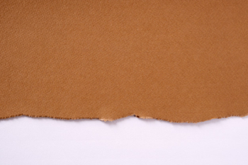 Torn brown paper border white background Free Photo Torn brown paper border white background Free Photo