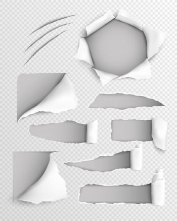 Torn paper realistic transparent set Free Vector Torn paper realistic transparent set Free Vector
