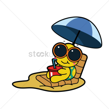 Tortoise on holiday Tortoise on holiday
