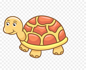 tortoise turtle cartoon reptile pond turtle tortoise turtle cartoon reptile pond turtle