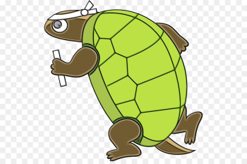 tortoise turtle pond turtle sea turtle clip art tortoise turtle pond turtle sea turtle clip art