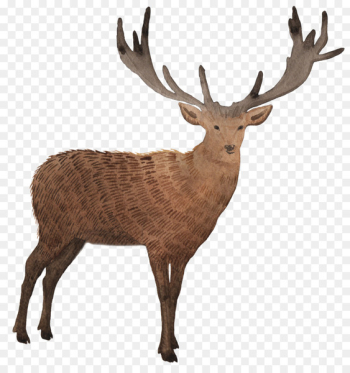 Tote bag Deer Mug Gift - Tote bag Deer Mug Gift -