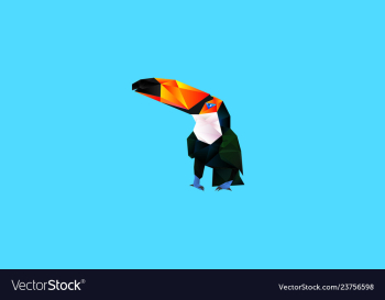 Toucan vector image Toucan vector image