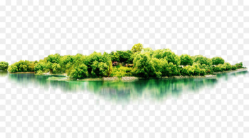 Tourism Gratis Fundal - Jungle woods Tourism Gratis Fundal - Jungle woods
