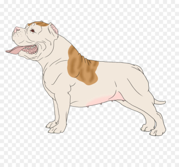 Toy Bulldog Dog breed Puppy Illustration - puppy Toy Bulldog Dog breed Puppy Illustration - puppy