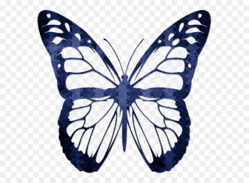 TP Legal Ltd Solicitors Kleurplaat Butterflies and moths Animation Child - blue butterfly 