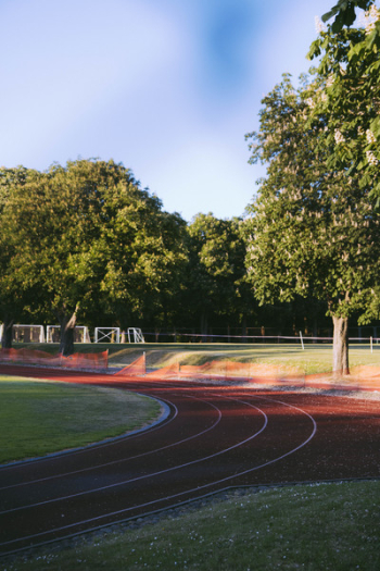 Track Field With Trees Track Field With Trees