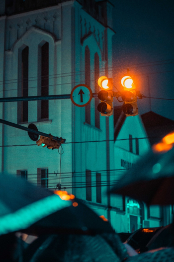 Traffic Light Traffic Light