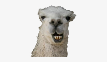 Transparent Animals Tumblr - Dancing Llama Transparent PNG ...