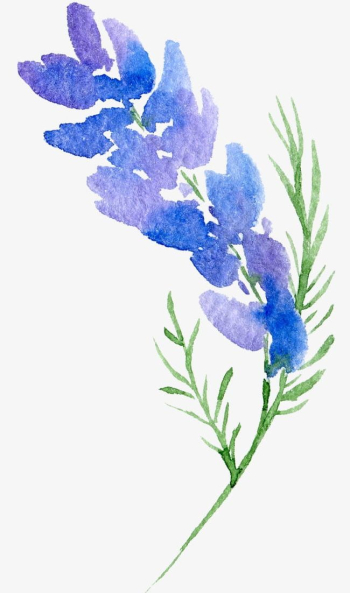 Transparent Background Floral Botanical Watercolor Flowers PNG ...