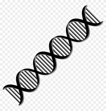 Transparent Black And White Dna Clipart - Dna Helix Black And White