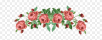 Transparent Flower Crown Tumblr Choice Image Flower - Garden Roses