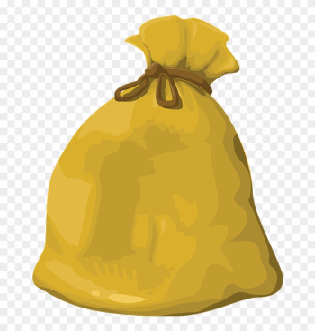 Transparent Money Bag - Transparent Money Bag