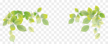 Transparent Png Leaf Image - Green Leaves Background Png