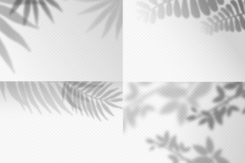 Transparent shadows overlay effect Free Vector Transparent shadows overlay effect Free Vector