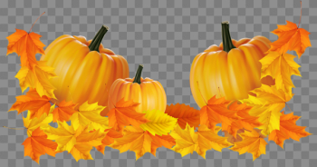 Transparent Thanksgiving Pumpkin Decor Clipart | Clipart and ...