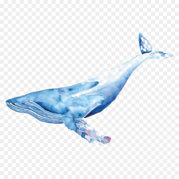 Transparent Watercolor Watercolor painting Drawing Whales Blue whale - painting 
